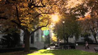 Northeastern University in the Fall [upl. by Selina]