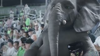 Wonderful Pistachios Commercials Compilation Elephant Ads [upl. by Brighton]