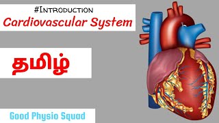 Physiology  Introduction to the Cardiovascular System in Tamil Lecture [upl. by Cresida]