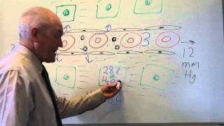 Body fluids 2 Movement between fluid compartments [upl. by Atteynad]