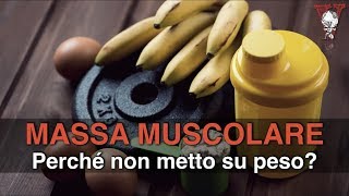 Massa muscolare perchè non cresco [upl. by Ainala723]