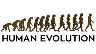 Human Evolution Animation [upl. by Atilehs]