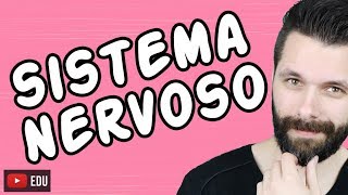 SISTEMA NERVOSO  FISIOLOGIA  Aula  Biologia com Samuel Cunha [upl. by Adav]