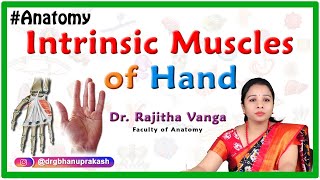 Intrinsic Muscles of the Hand [upl. by Nollad]