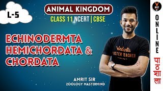 Echinodermata Hemichordata and Chordata  Animal Kingdom CBSE Class 11 Biology Chapter 4NEET 2020 [upl. by Yrekaz]