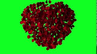 Coeur en pétales de roses ecran vert chroma key gratuit [upl. by Essenaj333]