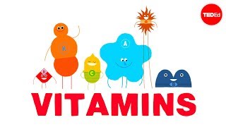 How do vitamins work  Ginnie Trinh Nguyen [upl. by Biddie]