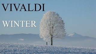 VIVALDI  The Four Seasons Winter quotLinvernoquot FULL  Classical Music HD [upl. by Yacov]