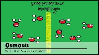 OLD VIDEO Osmosis [upl. by Odnamra]