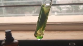 Extraction of Chlorophyll [upl. by Anires]