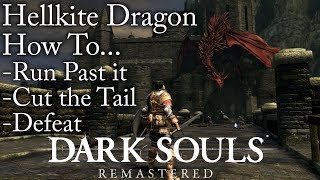 Dark SoulsRemastered  How To Run Past Cut the Tail amp Defeat Hellkite Dragon [upl. by Disini909]