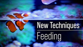 A Fish First Approach to Optimizing Fish Food While Optimizing Phosphate and Nitrate Independently [upl. by Goodhen]