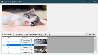 C Tutorial  Insert and Retrieve Image from SQL Server  FoxLearn [upl. by Darelle]