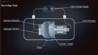 X Ray Production Animation [upl. by Ydnamron96]