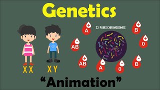 GENETICS  Biology Animation [upl. by Laurance]