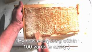 Three Simple Ways To Process Honey [upl. by Akino]