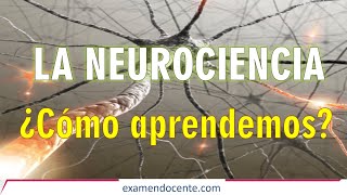 NEUROCIENCIA Y EDUCACIÓN  examen docente [upl. by Iviv422]