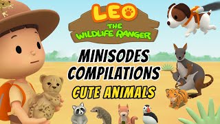 Cute Animals Minisode Compilation  Leo the Wildlife Ranger  Animation  For Kids [upl. by Yarvis]