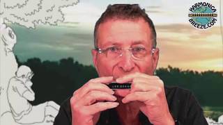 Harmonica Lesson 1  For Beginners Tutorial [upl. by Eugirne]