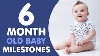 6 Month Old Baby Milestones [upl. by Buckler]