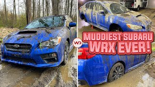 Deep Cleaning The Muddiest Subaru WRX EVER  Insane Satisfying DISASTER Detail Transformation [upl. by Nnayd]