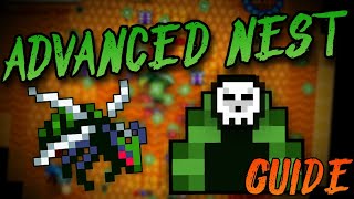 Advanced Nest Guide Rotmg [upl. by Shannan]