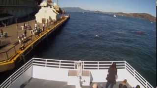 Exclusive video The first hunt by a great white shark ever recorded in San Francisco Bay [upl. by Davison378]