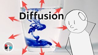 Diffusion How Molecules Actually Move [upl. by Neit]