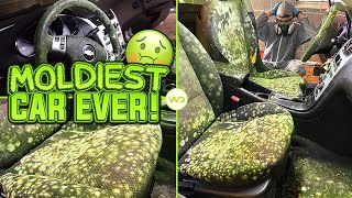 Deep Cleaning the MOLDIEST BIOHAZARD CAR EVER  Satisfying DISASTER Car Detailing Transformation [upl. by Benedix956]