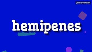 HEMIPENES  HOW TO PRONOUNCE IT [upl. by Riancho]