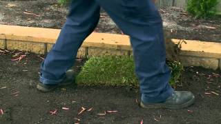 How To Lay Instant Turf  DIY At Bunnings [upl. by Mathew]