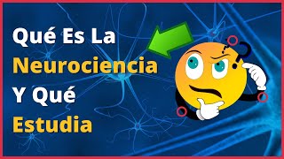 🤔 QUÉ es la NEUROCIENCIA y QUÉ ESTUDIA Neuroaprendizaje [upl. by Hess]