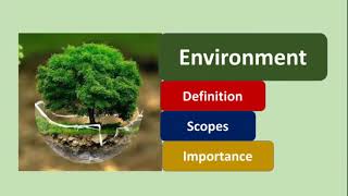 Environment  Definition Scopes and importance  Hindi Explaination  Environment BA  BSc  BCom [upl. by Egas]