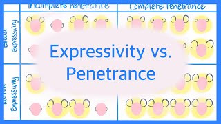 Expressivity vs Penetrance [upl. by Samid]