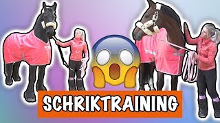 SCHRIK TRAINING MET EVE EN VITO  PaardenpraatTV [upl. by Eicats61]