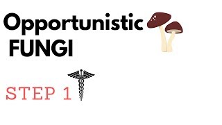 Opportunistic Fungi  Aspergillus Mucormycosis P jirovecii Candida amp Cryptococcus STEP1 [upl. by Otis]