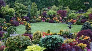 Best ideas  Top 80 Garden Small Backyard Landscaping  Beautiful Gardens Ideas [upl. by Black762]