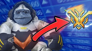 Educational Unranked To TOP500 Winston Only [upl. by Itirahc]