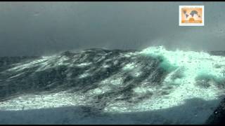 Antarctica Crossing The Drake Passage [upl. by Tomkiel]