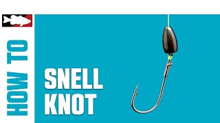 HowTo Tie a Snell Knot [upl. by Eibbob]