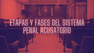 ETAPAS Y FASES DEL SISTEMA PENAL ACUSATORIO [upl. by Ajan]