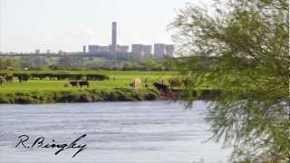 Attenborough Nature Reserve [upl. by Begga]