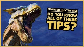 Monster Hunter Rise  18 ADVANCED TIPS  Master The Hunt [upl. by Yart189]