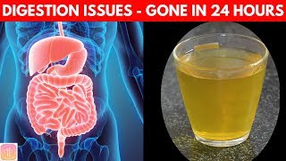 10 Ways to Improve Digestive System  Get INSTANT Boost Naturally [upl. by Fenner]