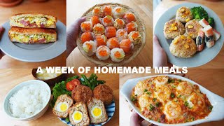 A week of meals🌸  Japanese [upl. by Novehc]