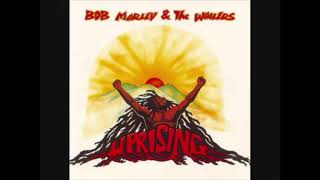 6 Zion Train  Bob Marley UprisingVID [upl. by Kristy782]