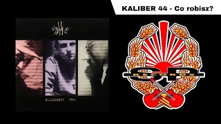 KALIBER 44  Co robisz OFFICIAL AUDIO [upl. by Adranoel]