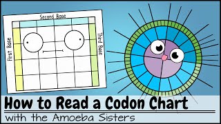 How to Read a Codon Chart [upl. by Elane]