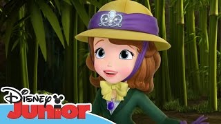 Sofia the First  Stronger Than You Know  Official Disney Junior Africa [upl. by Annecorinne245]