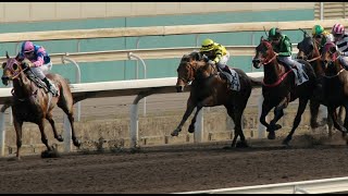 【SHATIN AW】 HONG KONG HORSE RACE ANALYSIS [upl. by Eniahs]